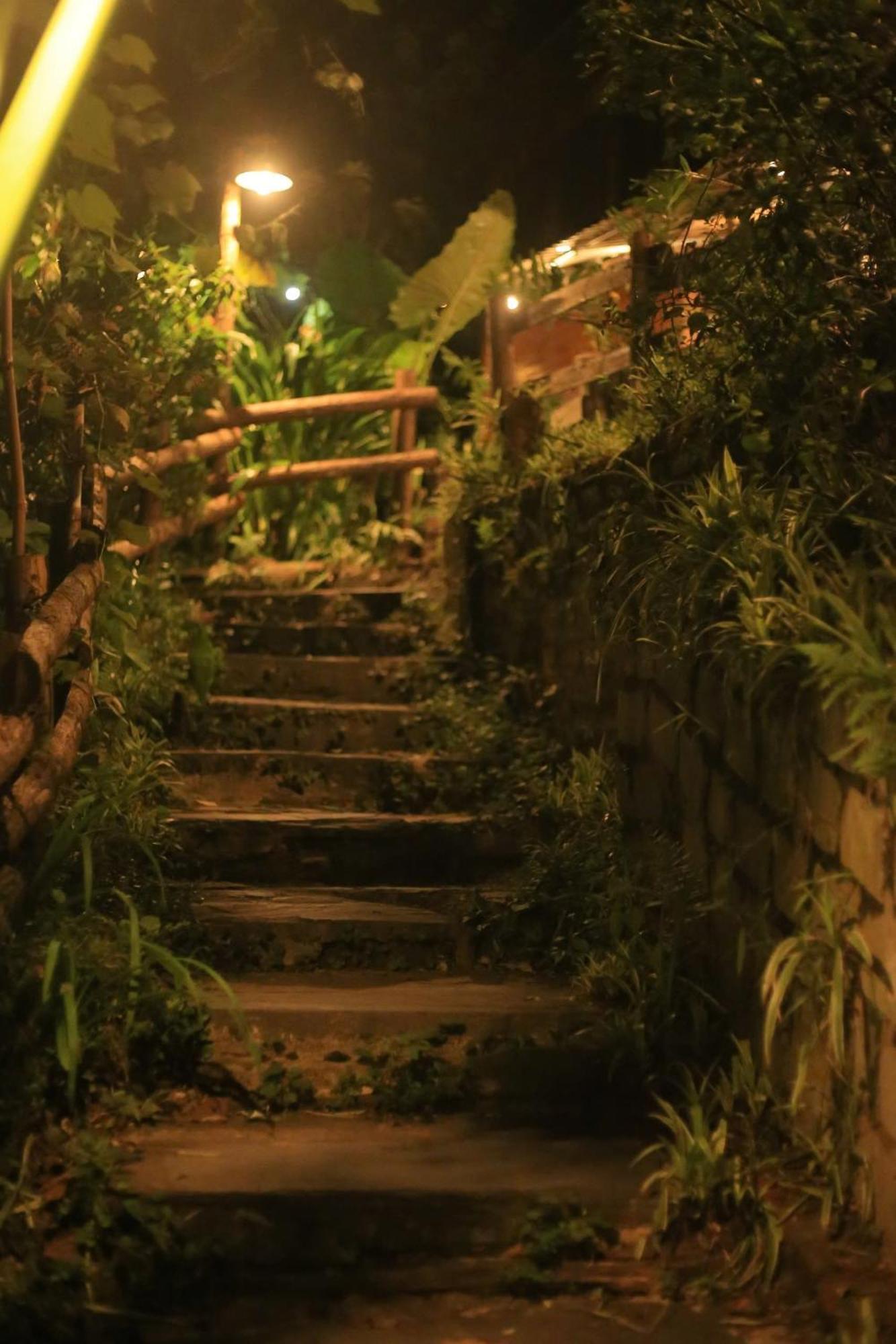 Séjour chez l'habitant Jungle *