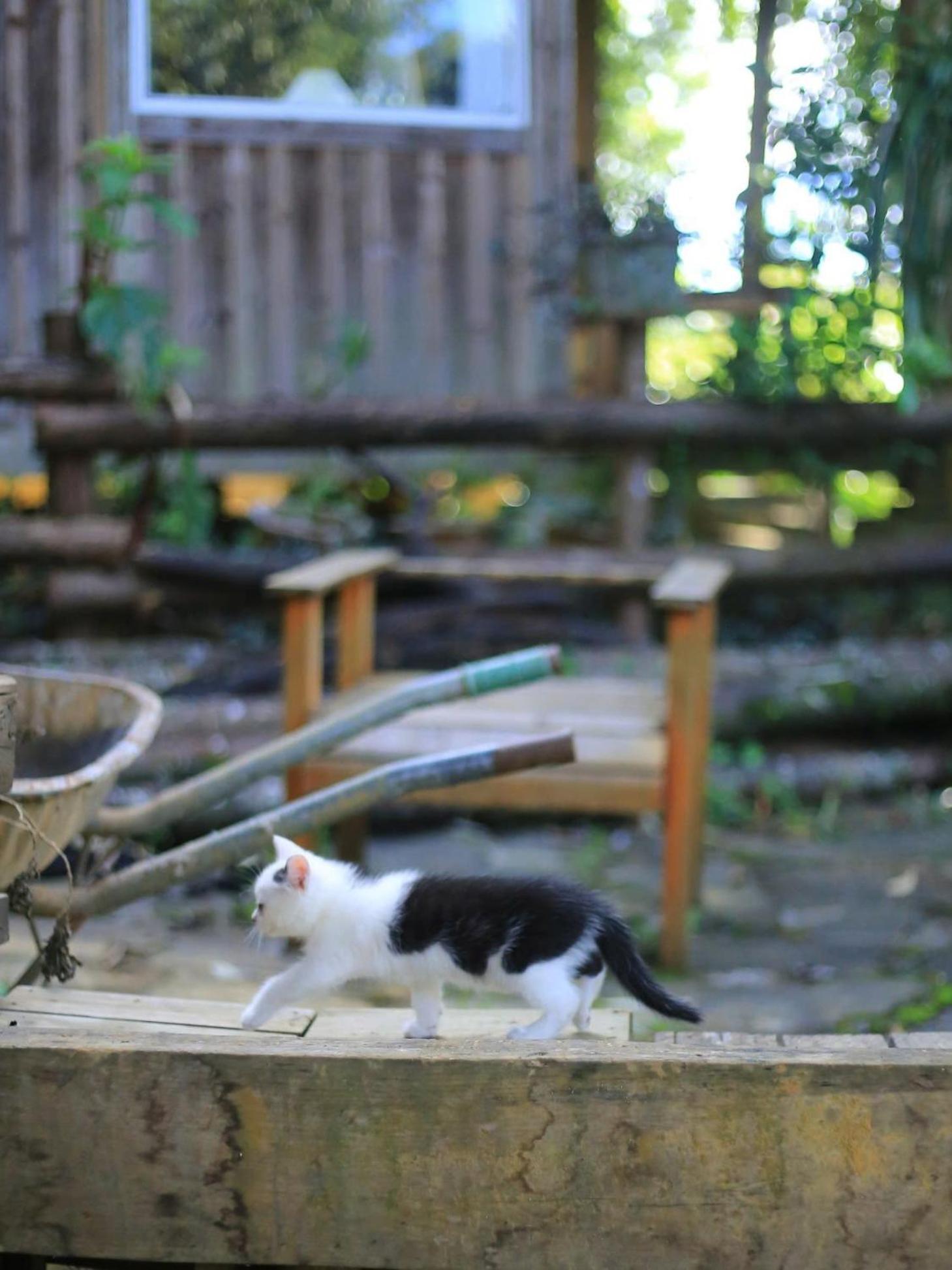 Jungle Séjour chez l'habitant Sa Pa